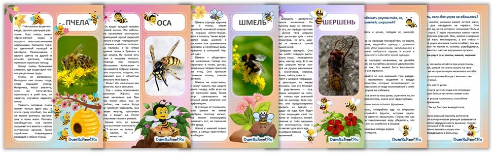 Плакаты о насекомых детям